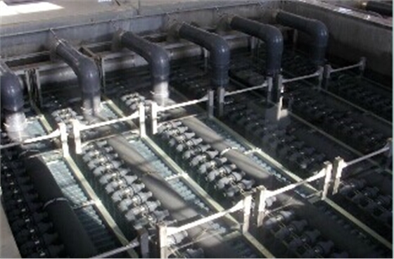 膜池.jpg 膜池.jpg