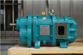 羅德RDB12型凸輪轉子泵20160728