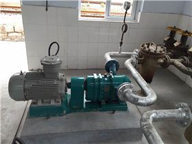 羅德活塞轉(zhuǎn)子泵卸載汽油柴油的優(yōu)勢(shì) 羅德活塞轉(zhuǎn)子泵卸載汽油柴油的優(yōu)勢(shì)