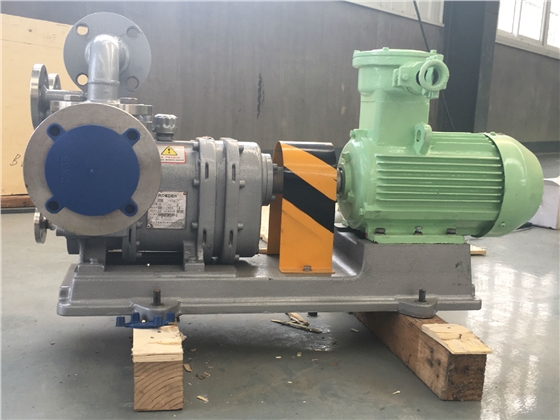 轉(zhuǎn)子泵 轉(zhuǎn)子泵