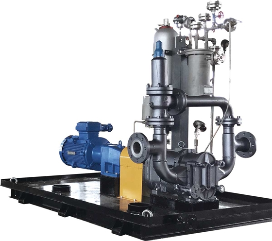 帶機封沖洗的轉(zhuǎn)子泵系統(tǒng)