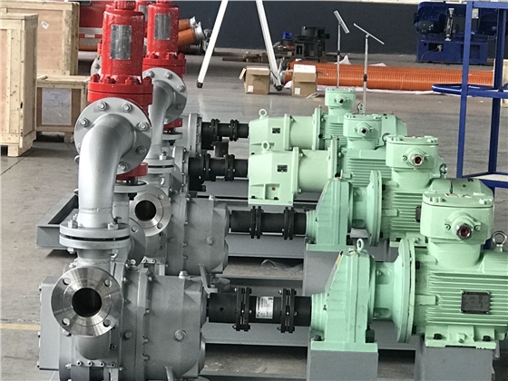 污泥轉(zhuǎn)子泵 污泥轉(zhuǎn)子泵