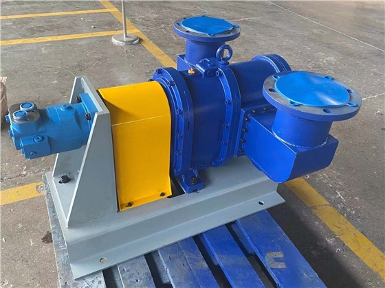 機(jī)器人裝置配套涵洞污泥抽排轉(zhuǎn)子泵 機(jī)器人裝置配套涵洞污泥抽排轉(zhuǎn)子泵