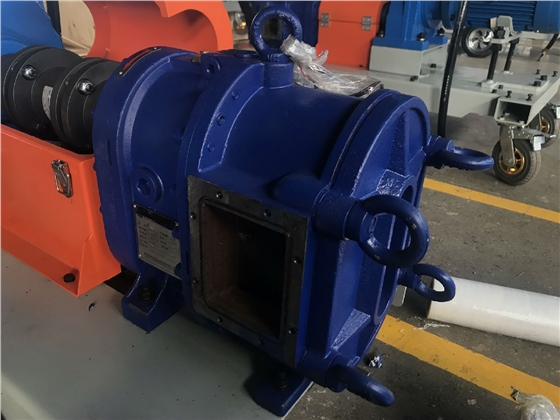 無(wú)阻塞轉(zhuǎn)子泵 無(wú)阻塞轉(zhuǎn)子泵