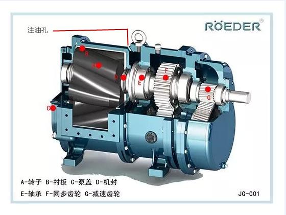 轉(zhuǎn)子泵廠家 轉(zhuǎn)子泵廠家