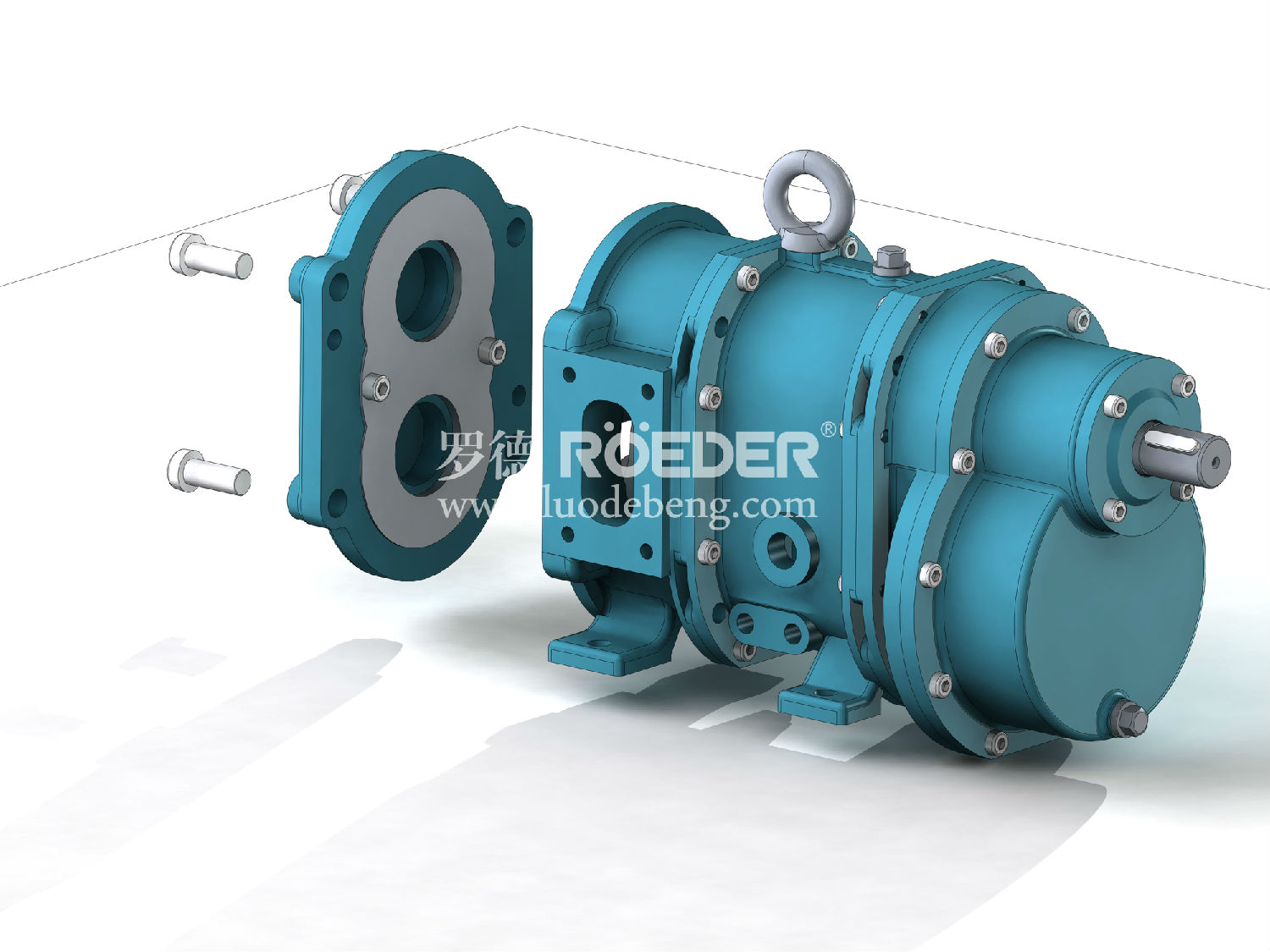 凸輪轉(zhuǎn)子泵 凸輪轉(zhuǎn)子泵