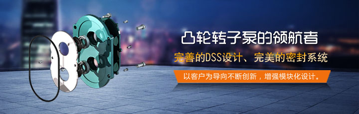 羅德品牌轉(zhuǎn)子泵 羅德品牌轉(zhuǎn)子泵