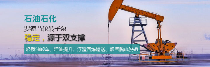 汽柴油裝卸車轉(zhuǎn)子泵20161202 汽柴油裝卸車轉(zhuǎn)子泵20161202