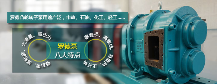 羅德轉(zhuǎn)子泵特點解析2016032201 羅德轉(zhuǎn)子泵特點解析2016032201