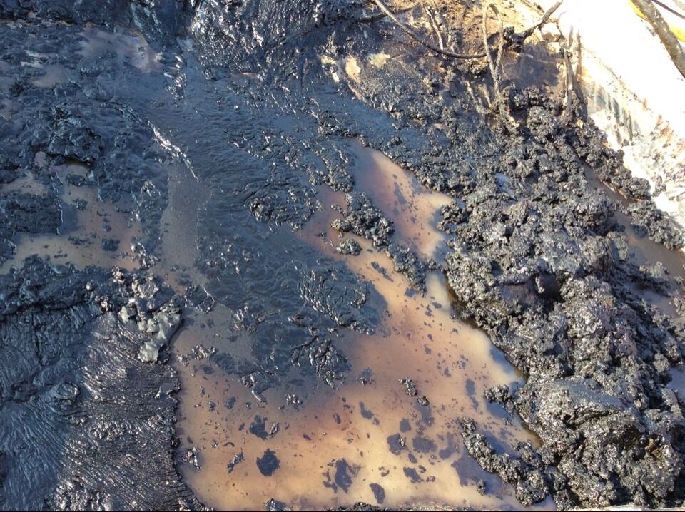 凸輪轉(zhuǎn)<a href='http://m.51java.cn' class='keys' title='點(diǎn)擊查看關(guān)于轉(zhuǎn)子泵的相關(guān)信息' target='_blank'>轉(zhuǎn)子泵</a>耐磨損耐腐蝕可以輸送含油污水等復(fù)雜成分介質(zhì)