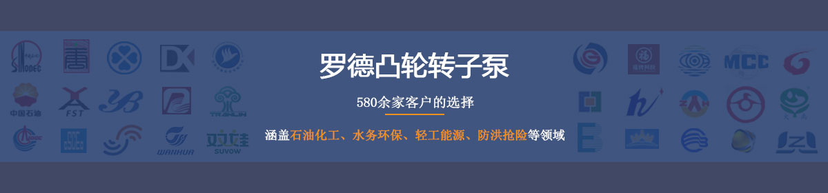 羅德凸輪轉(zhuǎn)子泵--德國品質(zhì)，中國價格