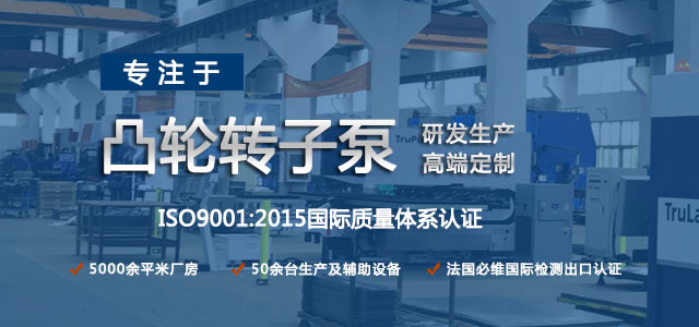 凸輪轉(zhuǎn)子泵生產(chǎn)廠家，專注于凸輪轉(zhuǎn)子泵的研發(fā)生產(chǎn)，高端定制